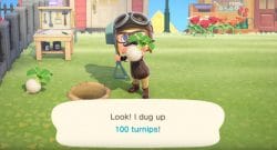 Animal Crossing New Horizons turnips guide