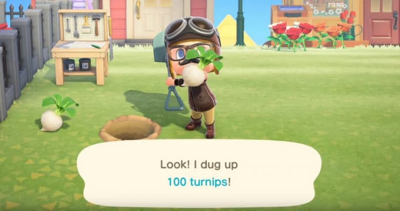 Animal Crossing New Horizons turnips guide
